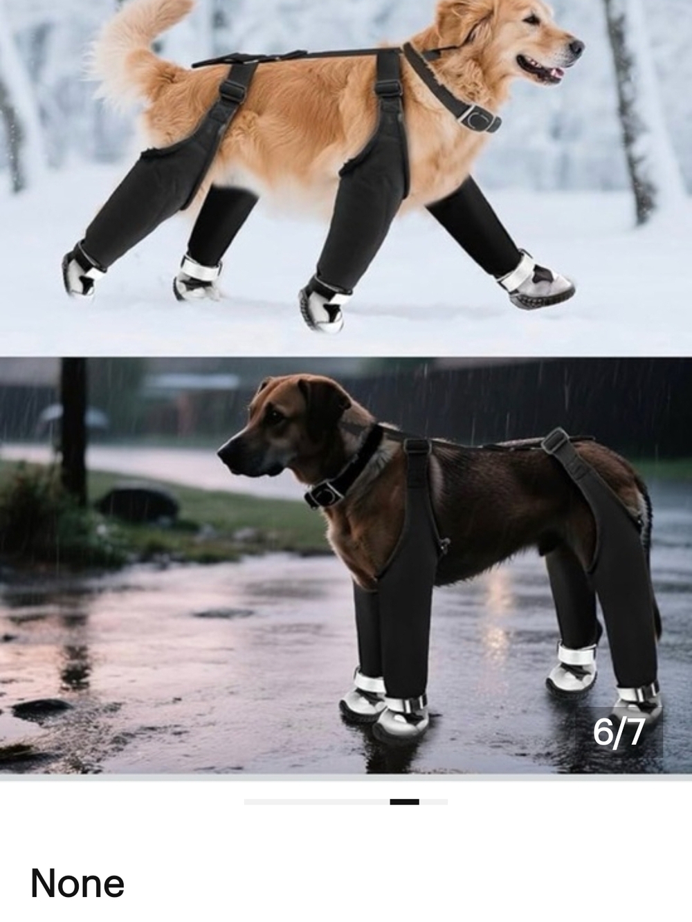 Black Dog Suspender Booties with Adjustable Straps -